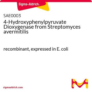 4-Hydroxyphenylpyruvate Dioxygenase from Streptomyces avermitilis recombinant, expressed in E. coli