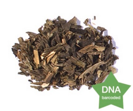 Plantago lanceolata Leaf Botanical reference material
