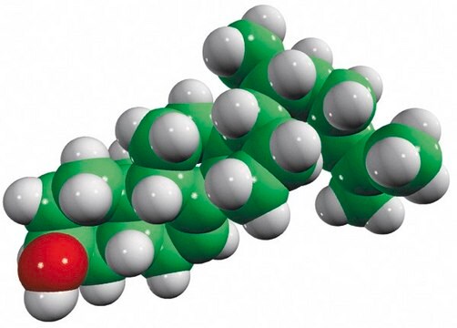 5&#945;-7,24-cholestadiene Avanti Research&#8482; - A Croda Brand 700114P, powder