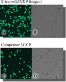 X-tremeGENE&#8482; 9 DNA Transfection Reagent Polymer reagent for transfecting common cell lines