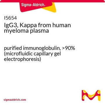 IgG3, Kappa from human myeloma plasma purified immunoglobulin, &gt;90% (microfluidic capillary gel electrophoresis)