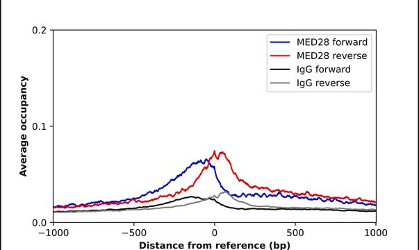 Anti-MED28 antibody produced in rabbit Prestige Antibodies&#174; Powered by Atlas Antibodies, affinity isolated antibody, buffered aqueous glycerol solution