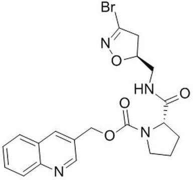 Transglutaminase 2 Inhibitor II, ERW1041E