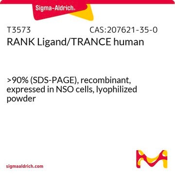 RANK Ligand/TRANCE human &gt;90% (SDS-PAGE), recombinant, expressed in NSO cells, lyophilized powder