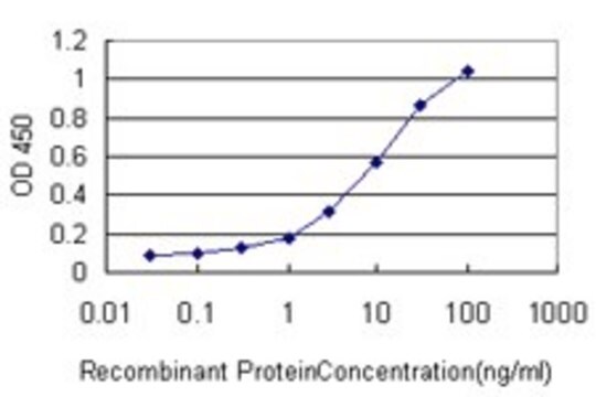 Monoclonal Anti-ZAP70 antibody produced in mouse clone 2F6, purified immunoglobulin, buffered aqueous solution