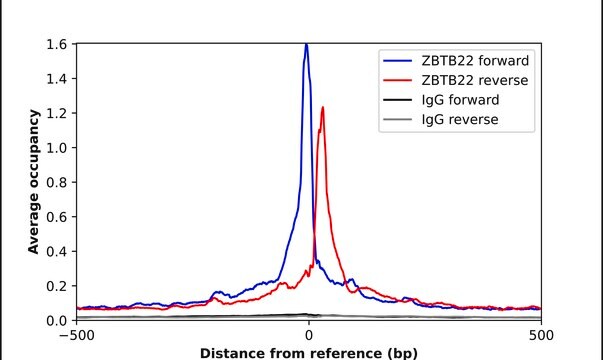 Anti-ZBTB22 antibody produced in rabbit Prestige Antibodies&#174; Powered by Atlas Antibodies, affinity isolated antibody, buffered aqueous glycerol solution