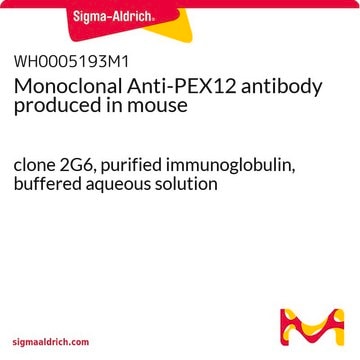 Monoclonal Anti-PEX12 antibody produced in mouse clone 2G6, purified immunoglobulin, buffered aqueous solution