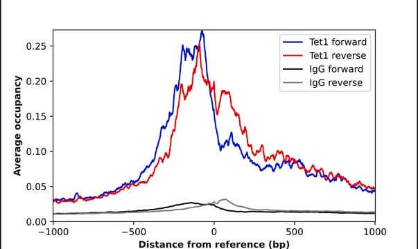 Anti-TET1 antibody produced in rabbit Prestige Antibodies&#174; Powered by Atlas Antibodies, affinity isolated antibody