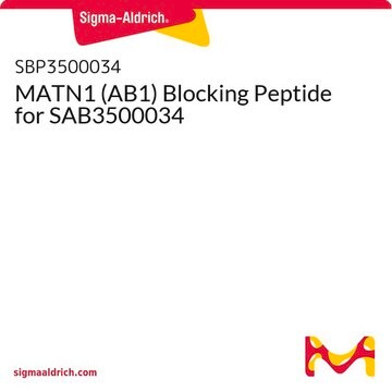 MATN1 (AB1) Blocking Peptide for SAB3500034