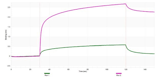 Anti-HDAC6 Antibody, clone 2I3 ZooMAb&#174; Rabbit Monoclonal recombinant, expressed in HEK 293 cells