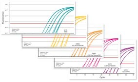 KAPA PROBE FAST suitable for qPCR, 2&#160;×, ABI Prism&#174;