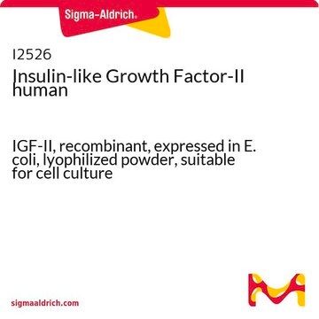 Insulin-like Growth Factor-II human IGF-II, recombinant, expressed in E. coli, lyophilized powder, suitable for cell culture