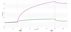 Anti-CD66b/CEACAM8 Antibody, clone 1L6 ZooMAb&#174; Rabbit Monoclonal recombinant, expressed in HEK 293 cells