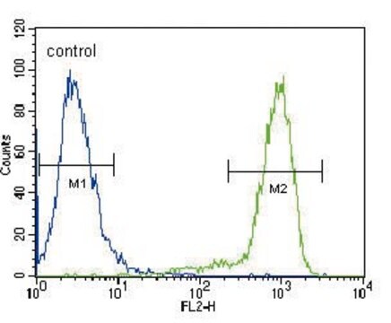 ANTI-TRKA (CENTER) antibody produced in rabbit affinity isolated antibody, buffered aqueous solution