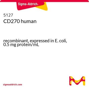 CD270 human recombinant, expressed in E. coli, 0.5&#160;mg protein/mL