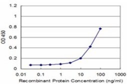Monoclonal Anti-MMP3 antibody produced in mouse clone 4C11, purified immunoglobulin, buffered aqueous solution