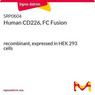 Human CD226, FC Fusion recombinant, expressed in HEK 293 cells