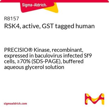 RSK4, active, GST tagged human PRECISIO&#174; Kinase, recombinant, expressed in baculovirus infected Sf9 cells, &#8805;70% (SDS-PAGE), buffered aqueous glycerol solution