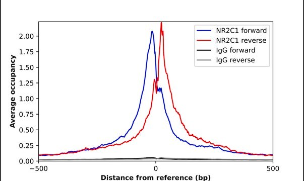 Anti-NR2C1 antibody produced in rabbit Prestige Antibodies&#174; Powered by Atlas Antibodies, affinity isolated antibody