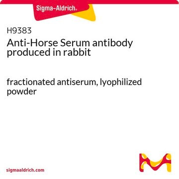 Anti-Horse Serum antibody produced in rabbit fractionated antiserum, lyophilized powder