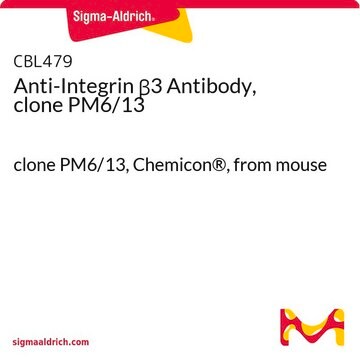 Anti-Integrin &#946;3 Antibody, clone PM6/13 clone PM6/13, Chemicon&#174;, from mouse