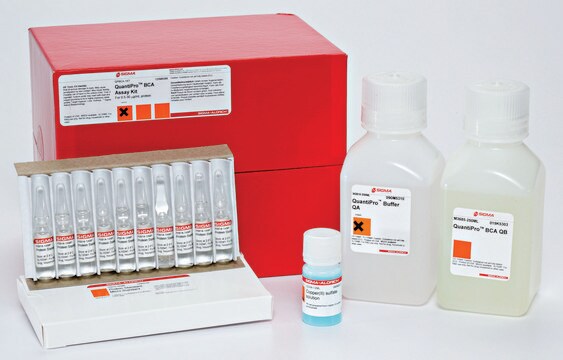 QuantiPro&#8482; BCA Assay Kit for 0.5-30 &#956;g/ml protein