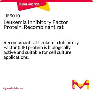 Leukemia Inhibitory Factor Protein, Recombinant rat Recombinant rat Leukemia Inhibitory Factor (LIF) protein is biologically active and suitable for cell culture applications.