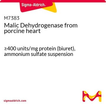 Malic Dehydrogenase from porcine heart &#8805;400&#160;units/mg protein (biuret), ammonium sulfate suspension