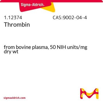 Thrombin from bovine plasma, 50&#160;NIH units/mg dry wt