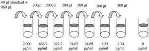 Mouse MCP-1 / CCL2 ELISA Kit for cell and tissue lysates
