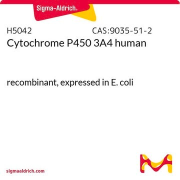 Cytochrome P450 3A4 human recombinant, expressed in E. coli