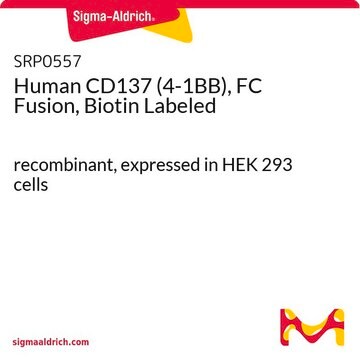 Human CD137 (4-1BB), FC Fusion, Biotin Labeled recombinant, expressed in HEK 293 cells