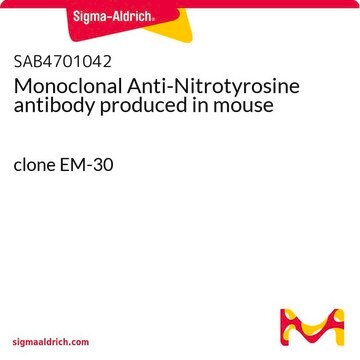 Monoclonal Anti-Nitrotyrosine antibody produced in mouse clone EM-30