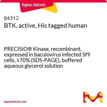 BTK, active, His tagged human PRECISIO&#174; Kinase, recombinant, expressed in baculovirus infected Sf9 cells, &#8805;70% (SDS-PAGE), buffered aqueous glycerol solution