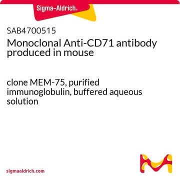 Monoclonal Anti-CD71 antibody produced in mouse clone MEM-75, purified immunoglobulin, buffered aqueous solution