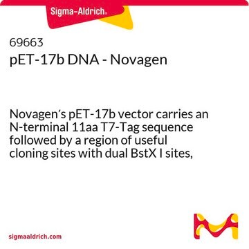 pET-17b DNA - Novagen Novagen&#8242;s pET-17b vector carries an N-terminal 11aa T7-Tag sequence followed by a region of useful cloning sites with dual BstX I sites, which allow efficient cloning using an asymmetric linker.