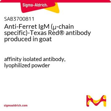 Anti-Ferret IgM (&#956;-chain specific)-Texas Red&#174; antibody produced in goat affinity isolated antibody, lyophilized powder