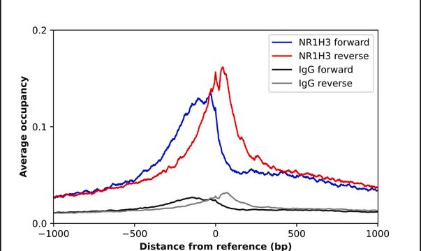 Anti-NR1H3 antibody produced in rabbit Prestige Antibodies&#174; Powered by Atlas Antibodies, affinity isolated antibody, buffered aqueous glycerol solution