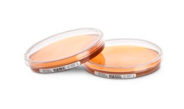 Tryptic Soy Agar - Ready-to-use Settle Plates Tween&#174;, Lecithin, Penase, Thiosulfate, Histidine, ICR with non-lockable lid, plate volume × diam. 30&#160;mL × 90&#160;mm, sterile; &#947;-irradiated, pkg of 10&#160;plates Triple packed, suitable for air monitoring