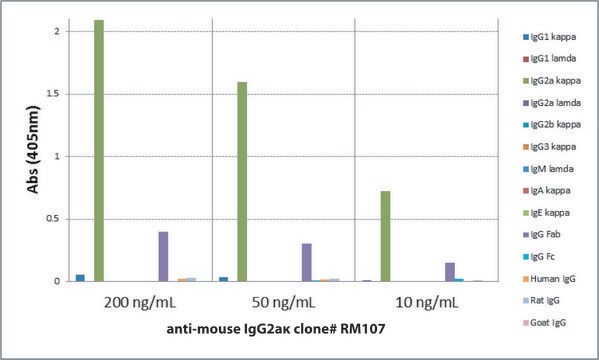 Anti-Mouse IgG2a kappa-Biotin antibody, Rabbit monoclonal recombinant, expressed in HEK 293 cells, clone RM107, purified immunoglobulin