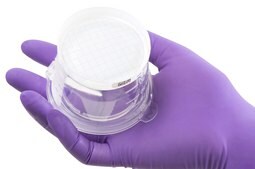 Milliflex Oasis&#174; Filtration Unit pore size 0.45&#160;&#956;m, mixed cellulose esters (MCE) membrane, white filter, volume 100&#160;mL