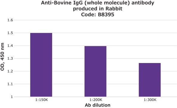 Anti-Bovine IgG (whole molecule) antibody produced in rabbit whole antiserum