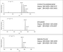 SILu&#8482;MAB Stable-Isotope Labeled Universal Monoclonal Antibody Standard human recombinant, expressed in CHO cells