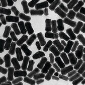 Gold nanorods palladium coated, 25&#160;nm diameter, 100&#160;&#956;g/mL in H2O, dispersion