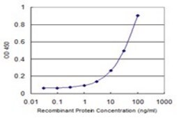 Monoclonal Anti-TUBA1B antibody produced in mouse clone 2E8, purified immunoglobulin, buffered aqueous solution