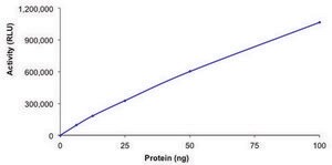 SIRT1, active, His tagged human recombinant, expressed in baculovirus infected Sf9 cells, &#8805;70% (SDS-PAGE), buffered aqueous glycerol solution