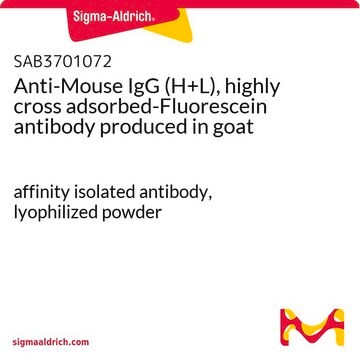 Anti-Mouse IgG (H+L), highly cross adsorbed-Fluorescein antibody produced in goat affinity isolated antibody, lyophilized powder