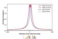 Anti-ESR1 antibody produced in rabbit Ab2, Prestige Antibodies&#174; Powered by Atlas Antibodies, affinity isolated antibody, buffered aqueous glycerol solution