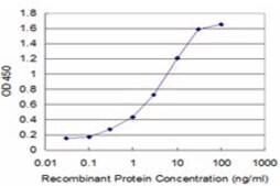 Monoclonal Anti-GLRA1 antibody produced in mouse clone 2E7, purified immunoglobulin, buffered aqueous solution
