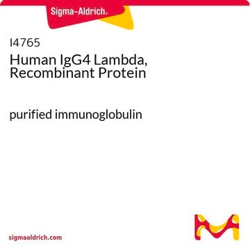 Human IgG4 Lambda, Recombinant Protein purified immunoglobulin